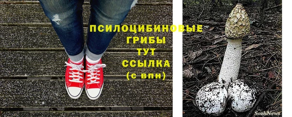 прущий лед Алексеевка