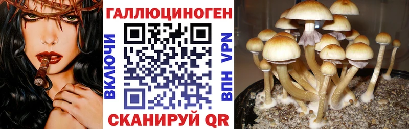 наркошоп Борзя Псилоцибиновые грибы MAGIC MUSHROOMS